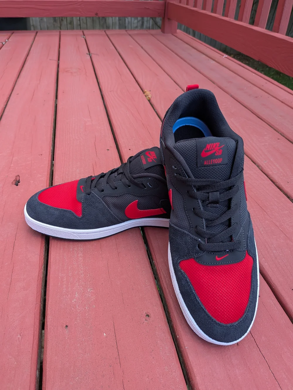 🔥 Nike SB Alleyoop
